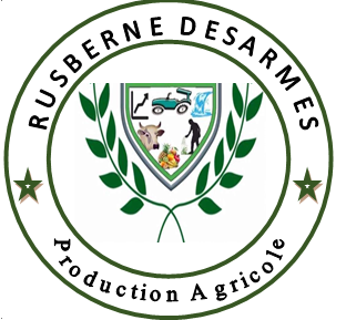 Rusberne Désarmes Productions